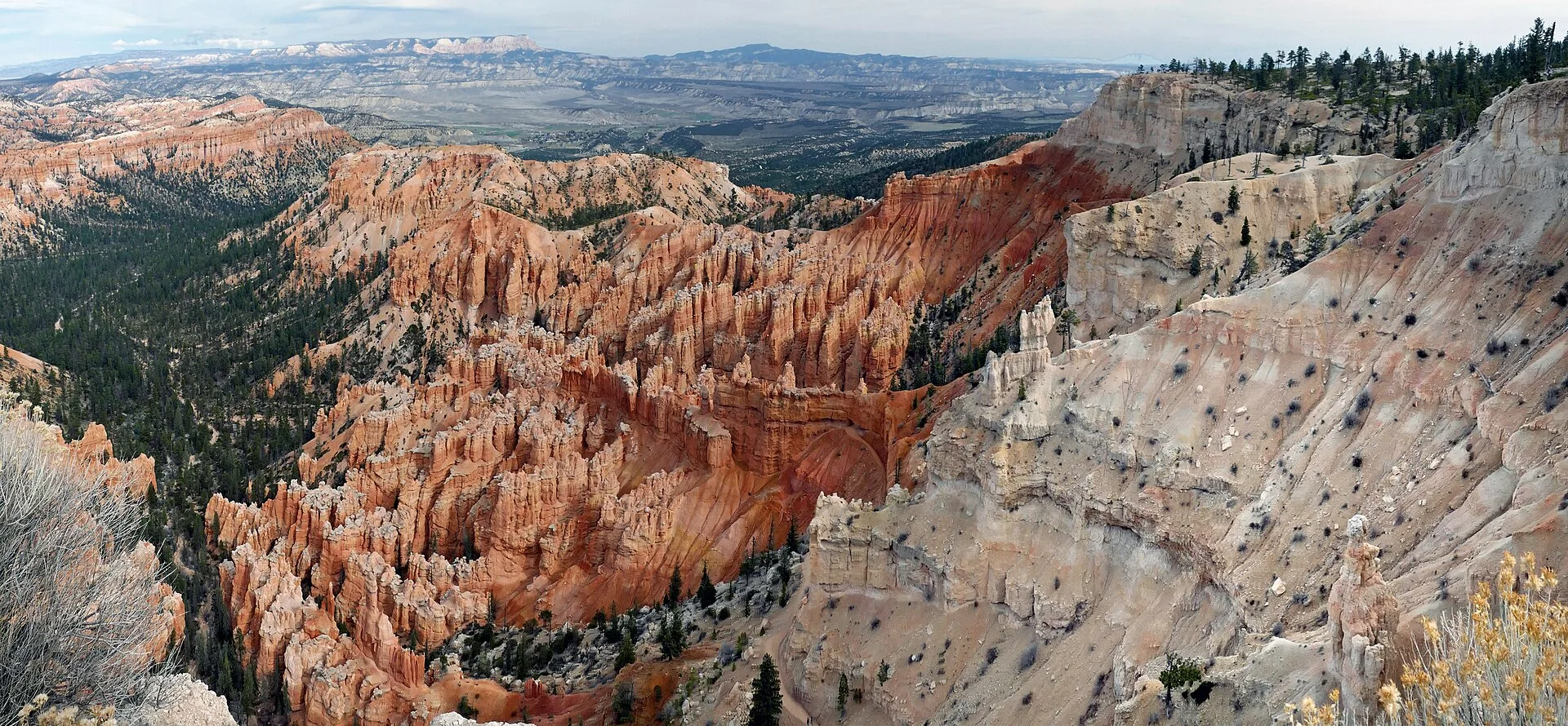 Les points de vue incontournables de l'amphithéâtre