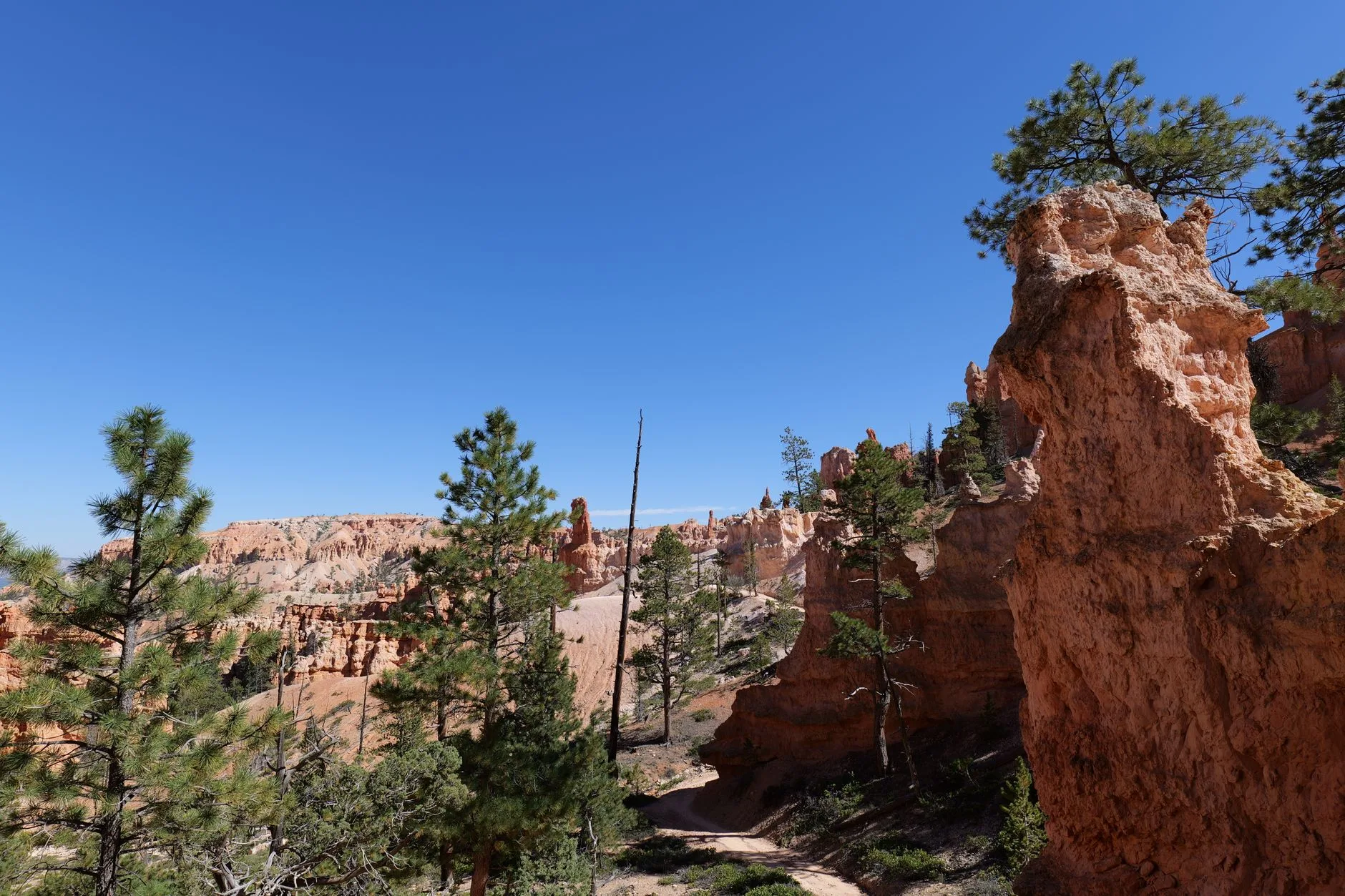Randonner au milieu des hoodoos