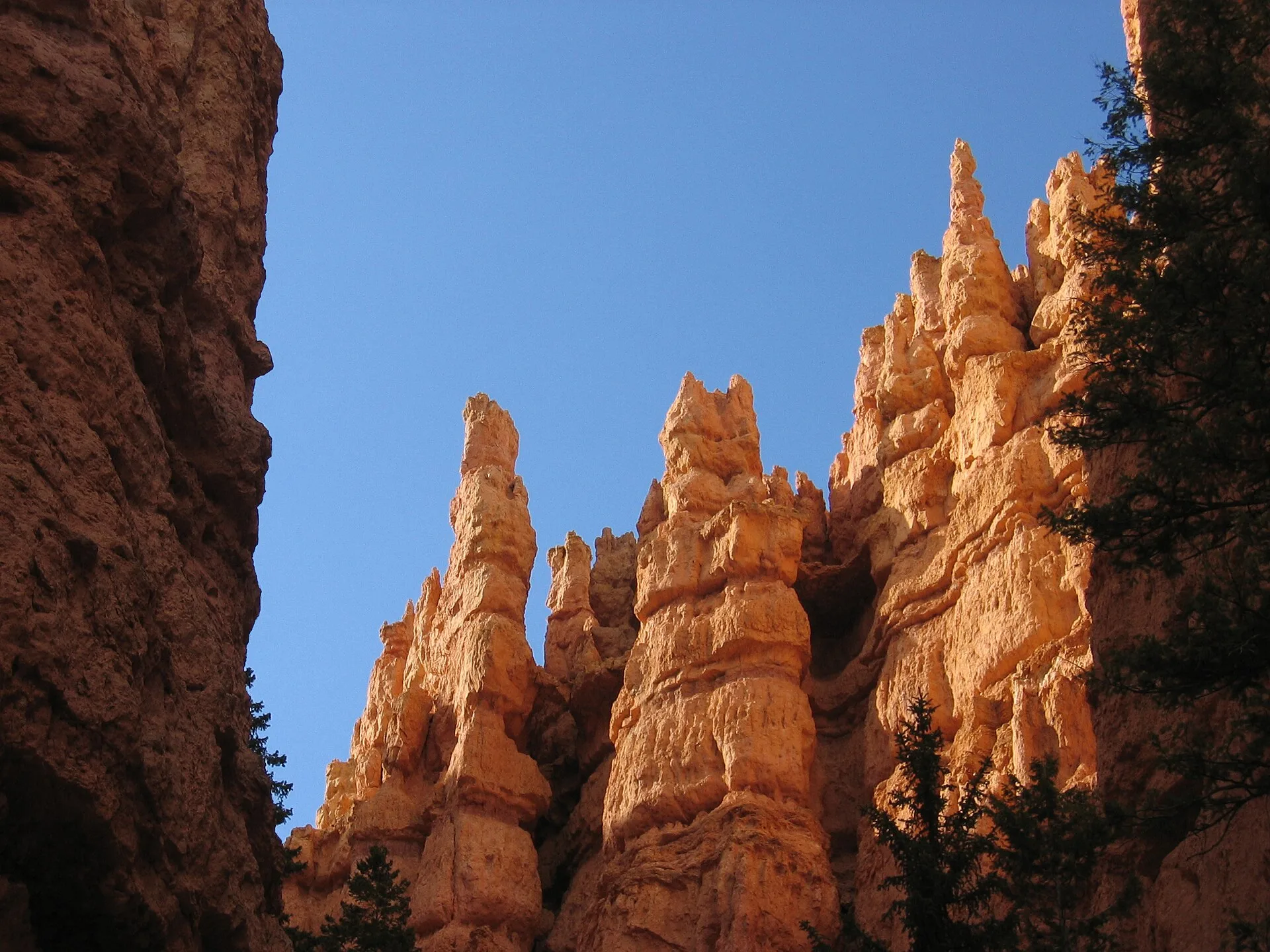 Hoodoos orange de Bryce Canyon National Park en Utah