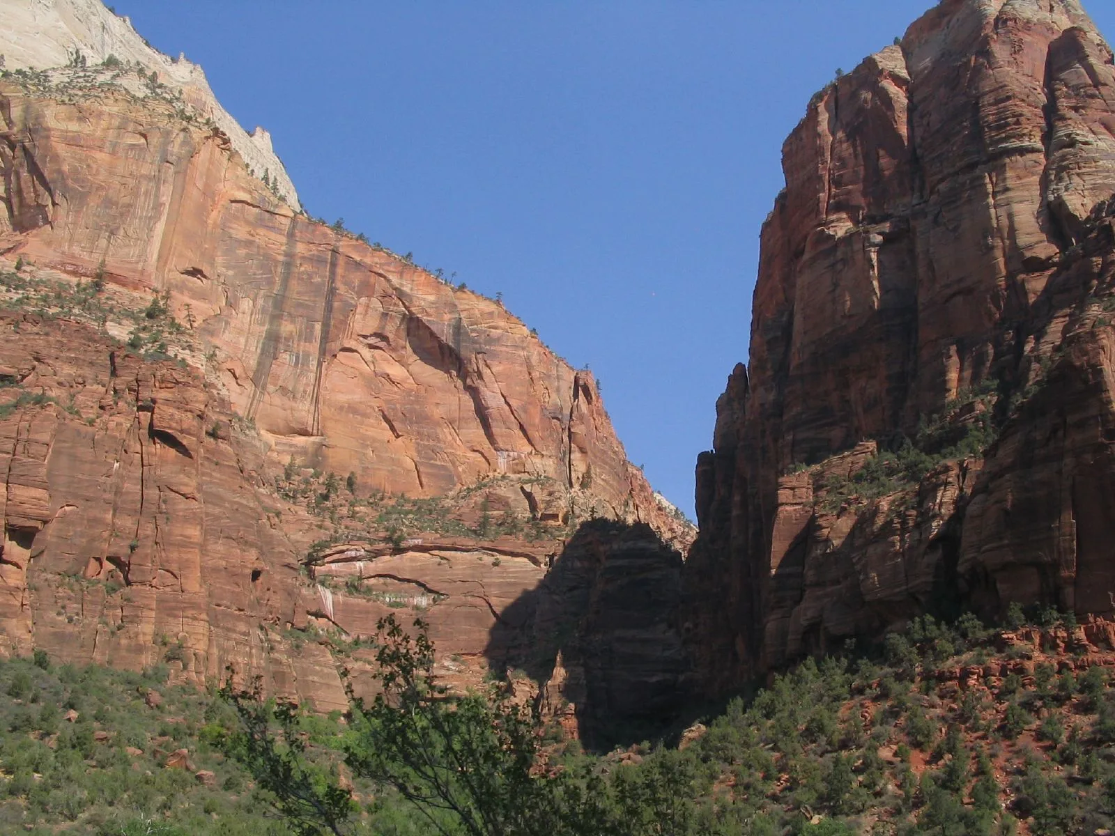 Angels Landing : la randonnée la plus célèbre